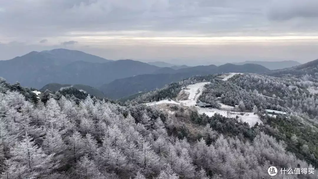 “冻”真格！龙门秘境草山岗再现雾凇冰挂！包菜炒粉条怎样做才好吃？技巧全在这里，难怪以前炒的粉条老粘锅