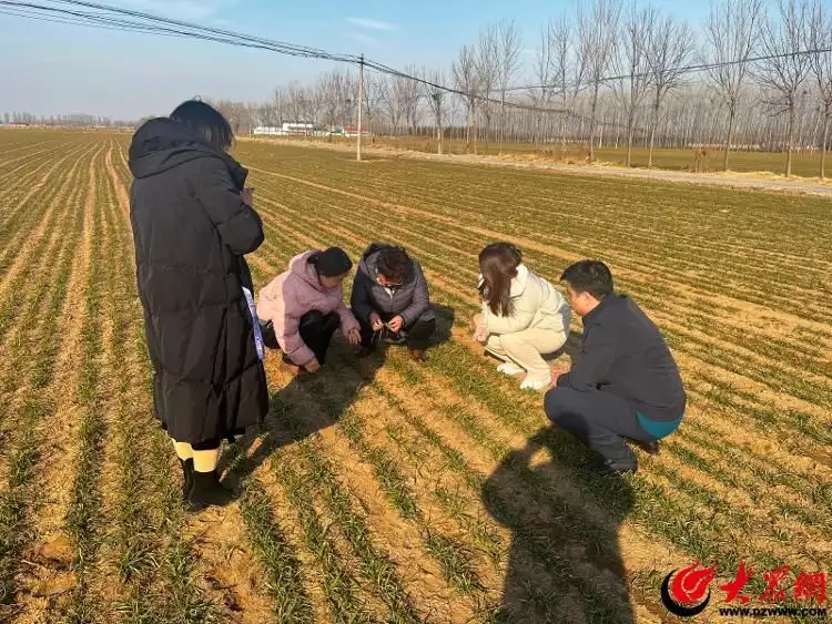 潍坊诸城：抢抓农时 蓄力农业“开门红”播报文章