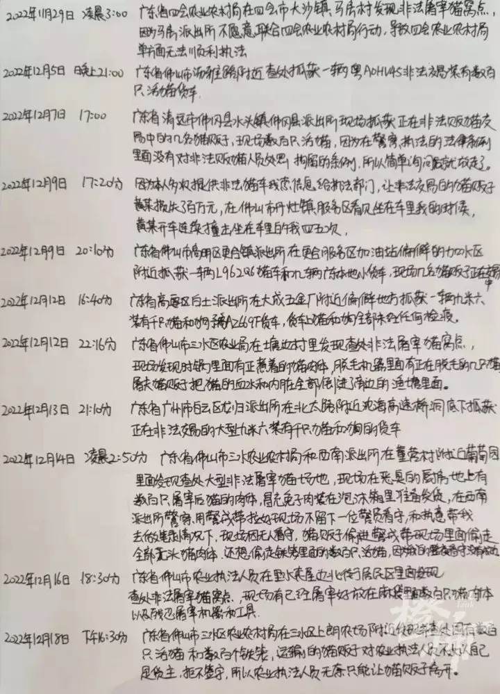 爱猫失踪90后女孩暗访整条产业链（丢失的猫猫怎么找回来） 第11张