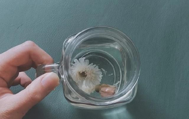  看懂|傻子走了，骗子傻了！（看懂的人，都傻过）