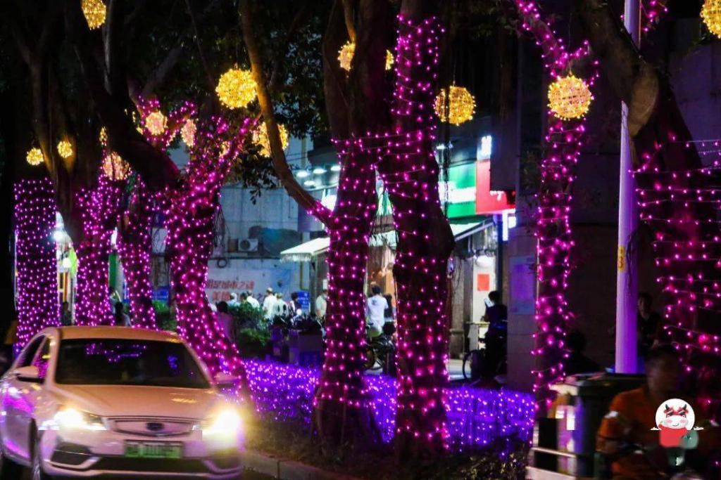 鼓西路|福州最美环湖夜市来啦！灯光秀、鲜花美食，一路逛吃逛吃！