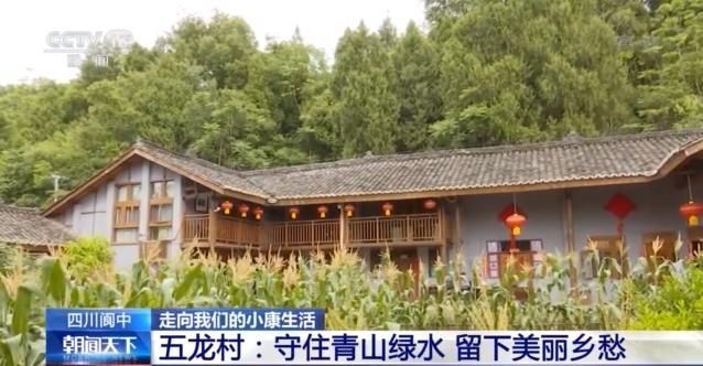 青山绿水|五龙村：守住青山绿水 留下美丽乡愁