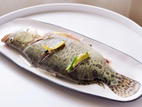  营养|金秋8月，有条件要多吃的鱼，48块钱一斤，刺少肉鲜又肥，营养高