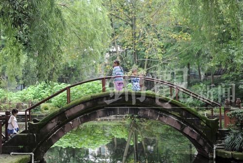  炽热|话说二十四节气 | 大暑：清心静气消暑纳凉 让我们一起经历生命最炽热的温度