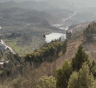 广场|搞笑GIF:广场新来的舞帝