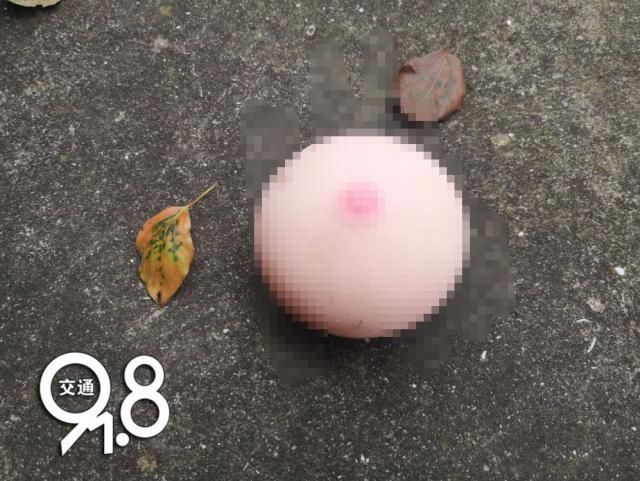 重出江湖|“情趣大盗”重出江湖，专挑成人用品自助机下手