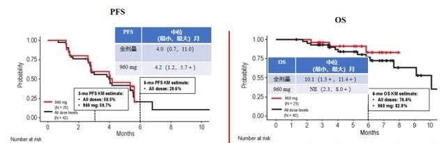 肿瘤|消化道肿瘤十大明星靶点强势来袭,靶向免疫新药新方案不断