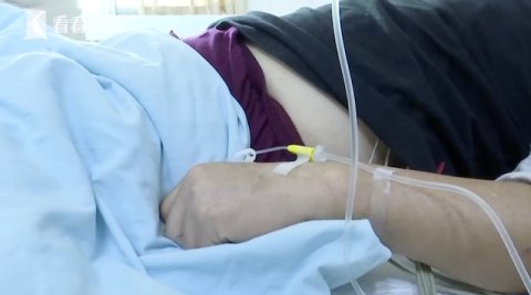  过路|秋田犬发狂连扑多人 过路大爷被咬到动脉