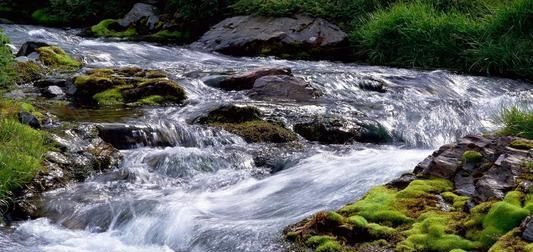  郁可唯|浪姐六公宁静、阿朵再次组团，赵兆老师喜提最爱姐姐团