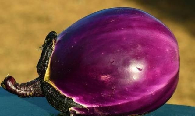 常见|16种常见蔬菜的挑选技巧,做了一辈子饭都不一定知道哦,快来收藏