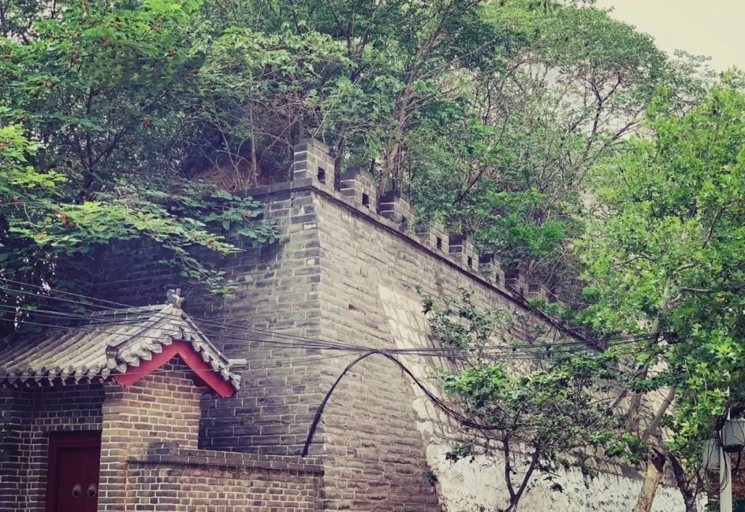  济宁|瞒不住了！济宁这些“隐秘的角落”必须曝光