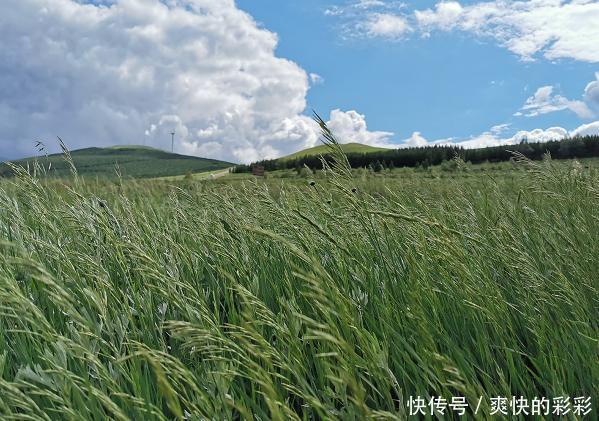  疲劳|科学辟谣┋绿色缓解视疲劳