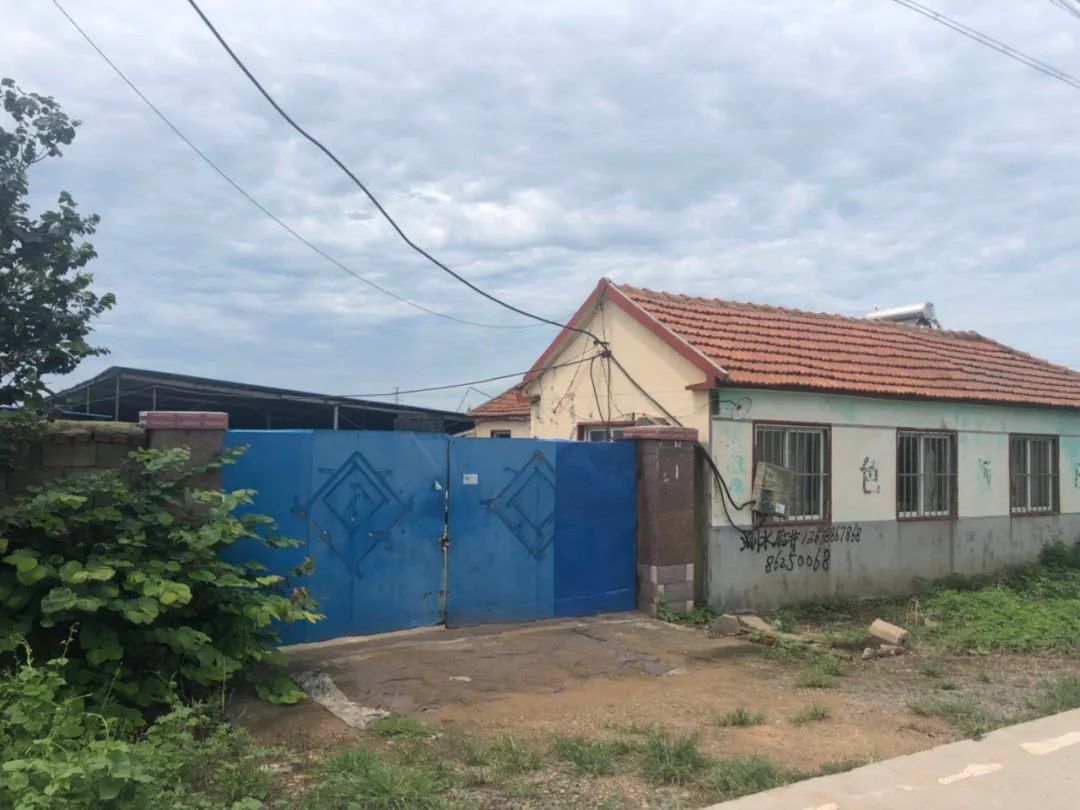  救人|因为一头猪，青岛一家三人掉进化粪池！过路小伙危急关头纵身一跃，中毒昏迷…