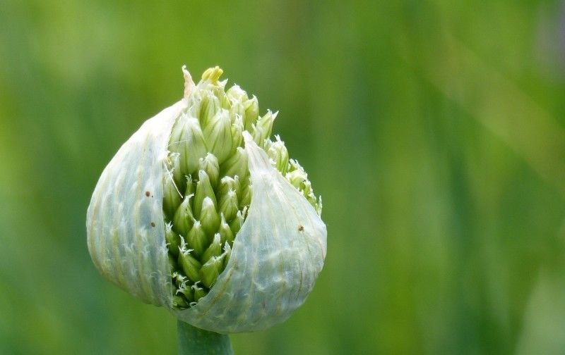 高贵|7月中旬好运不断,财运喜事接着来,这4大生肖年赚百万不是梦!