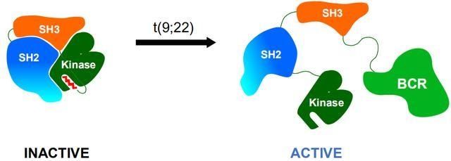 变构调节剂|「深度报告」BCR-ABL1变构抑制剂，开启靶向治疗新篇章