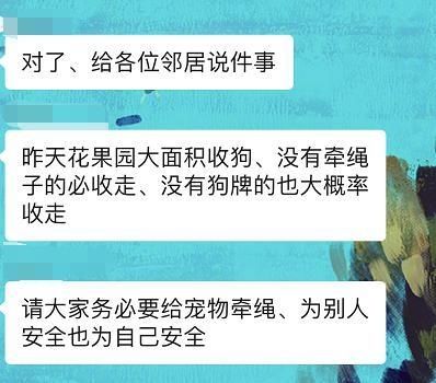  甲秀楼|网传“花果园开始大面积抓不栓绳的狗”，实际情况是……