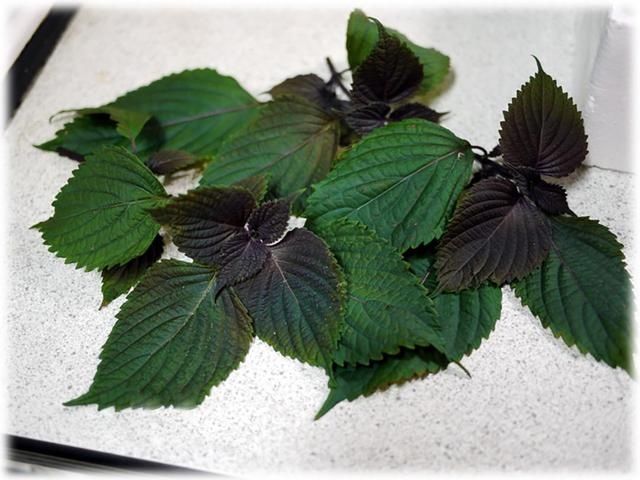 合适|大闸蟹蒸几分钟合适?记住这几个技巧,螃蟹肉嫩不柴不寒,超鲜美