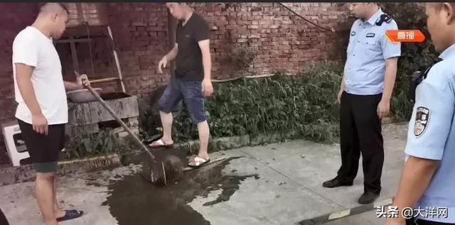  黑色|小伙如厕突遇“不速之客”：通体黑色，身上还有毛刺！身份不简单