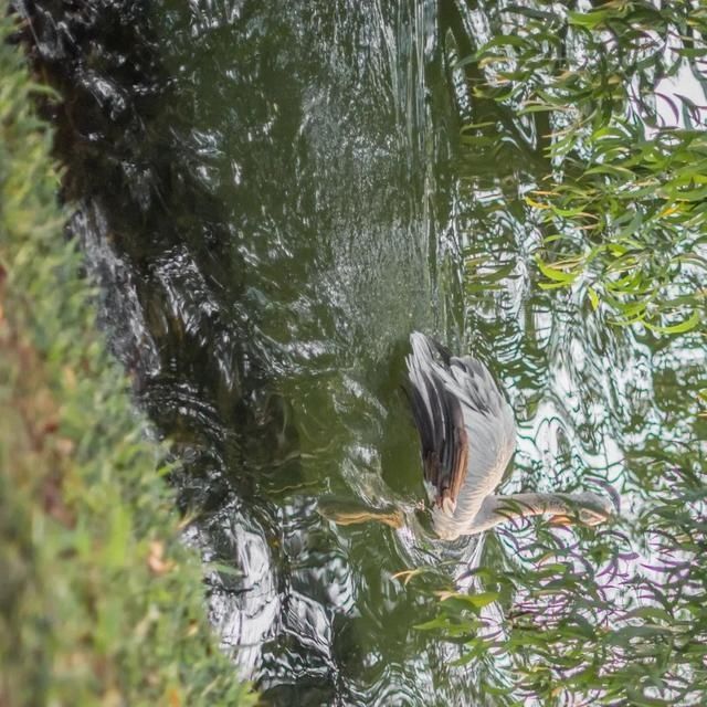  shui|陈燕：光不度，shui水成文