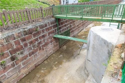  你家|双流这三条沟渠大变身了！就在你家附近！