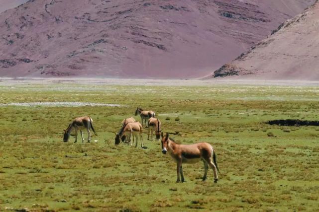 香格里拉|12个中国最美的远方!挑一个出发吧!