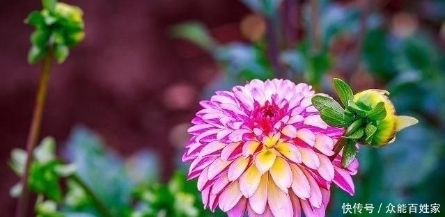 福气的人|福祸是有征兆的,对照一下,你是有福之人吗?