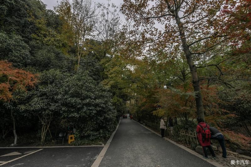  风光|畅游杭州杨梅岭，体验新颖的农家生活