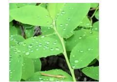 发快慢的因|吃透这8个考点，彻底拿下中考物理：物态变化专题，轻松得高分