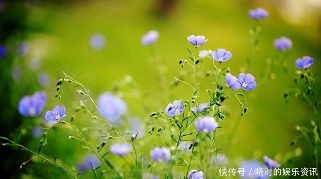 择一人深爱,等一人终老|诗词 | 深爱