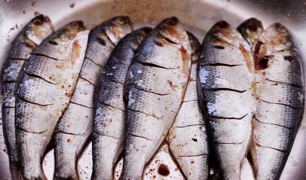  鱼肉|炸鱼时，裹淀粉还是面粉，裹对“粉”鱼肉才能外酥里嫩，又香又脆