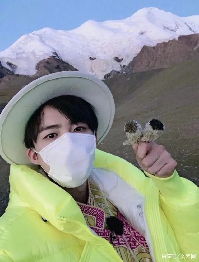  极限挑战|《最强大脑》水哥被扒私养国家二级保护植物，专家否定人工繁育