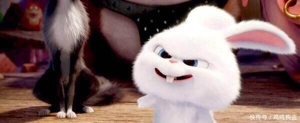 歇后语兔子的尾巴--长不了是在讲什么!