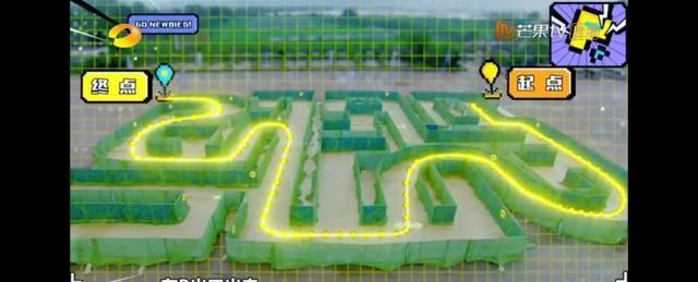  学好|尖叫鸡、压鞋、绑方向盘，明星学车这么“不正经”，能学好吗？