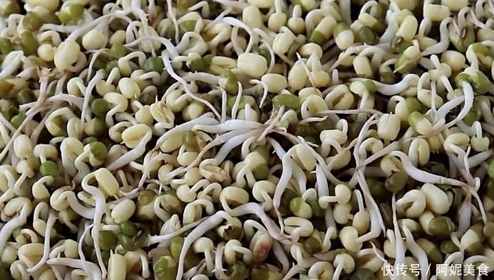 做法|想吃绿豆芽别再买,教你在家生,1碗绿豆生1大盆芽,做法超简单