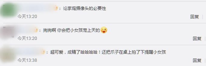 爸妈|狗子听到家长进门提醒女孩写作业，网友：我爸妈一般摸电视烫不烫