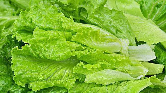  黑芝麻含|三伏天，女性常吃3种食物，滋补营养，增进食欲，早吃早好