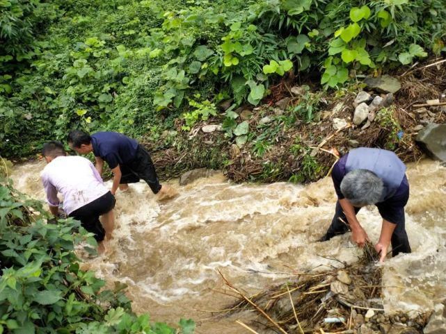 连遭|恩施全境连遭暴雨袭击，来凤多地受灾！