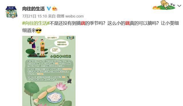 狠狠|《向往4》安排嘉宾挖藕,却被质疑是作秀,官博公开科普狠狠打脸