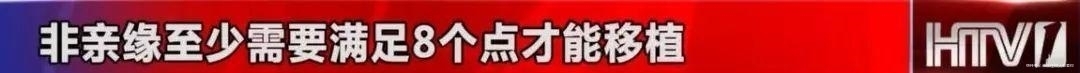  白血病|90后浙大研究生身患白血病 一个隐藏了28年的秘密被揭开