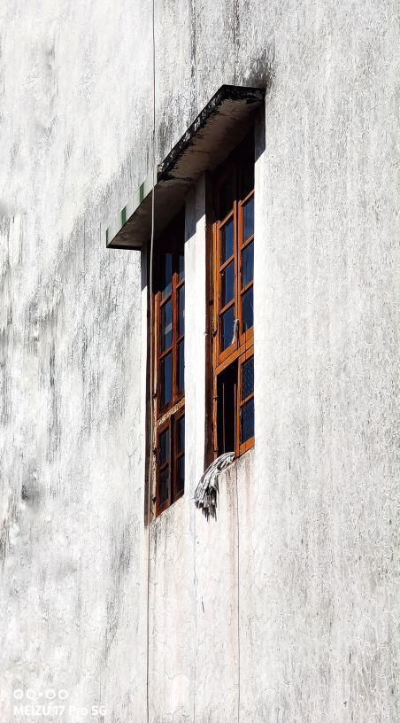  魅族|魅族17 Pro随拍分享：全场景配置下，更方便捕捉到的生活瞬间