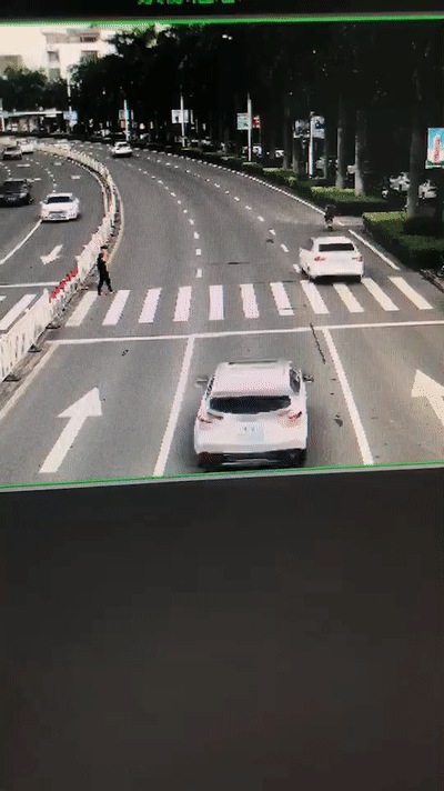 礼让|礼让红黑榜 | 斑马线前让一让，行人车辆都无恙