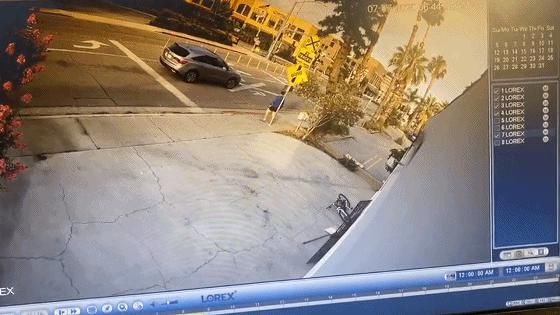 杨连慧|黑人小伙抢劫华人！不料对方是世界拳王！被暴揍落荒而逃 !