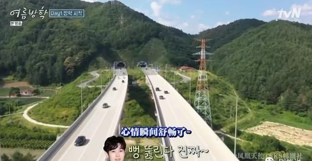  综艺|抛开抄袭风波，确实很治愈……