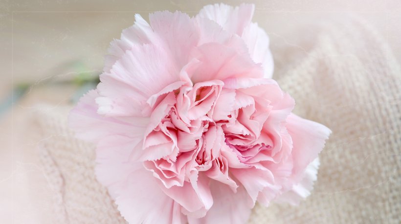  相随|发财梦成真！7月中旬好运相随，财运开窍，尽可赚大钱的4大生肖！