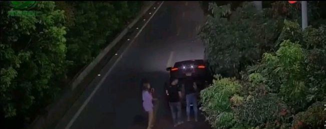  泉州|泉州永春开宝马2男2女子凌晨偷路边的荔枝，也是醉了！