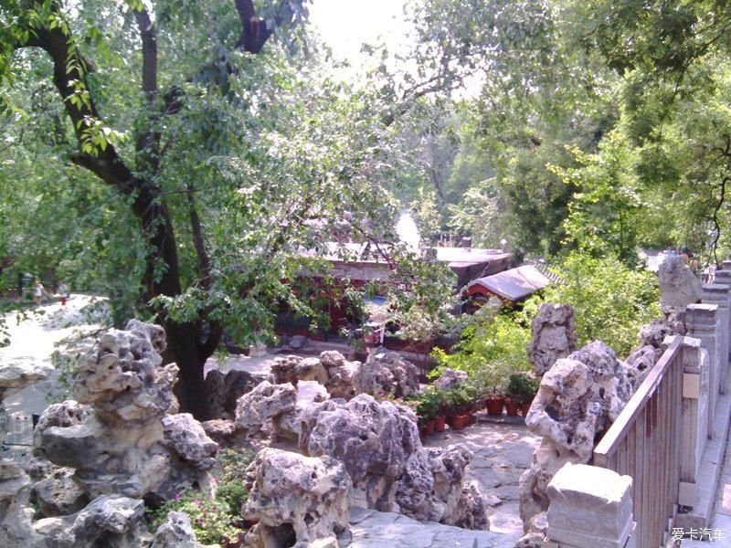 合集|周末一天逛逛吃吃合集!