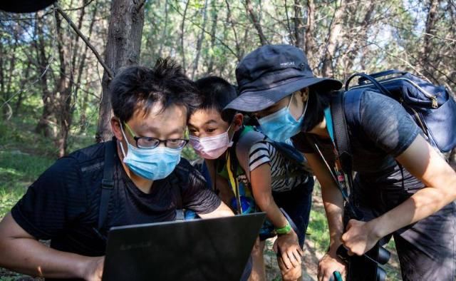  追踪|在北京追踪野生动物：15岁女孩红外相机里的城市秘影