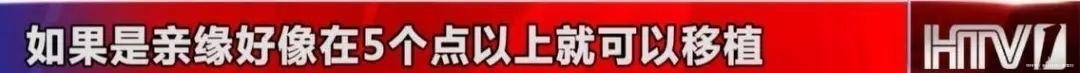  白血病|90后浙大研究生身患白血病 一个隐藏了28年的秘密被揭开