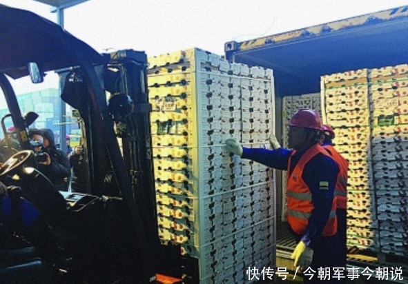 订单|为抱美国大腿暂停中国订单,亏损百亿后,却希望中方高抬贵手