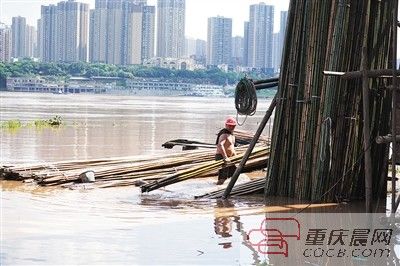 全城|明天全城雨又来 最高温难超31℃